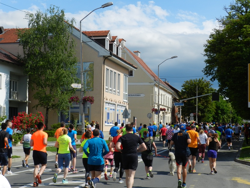 maraton 7