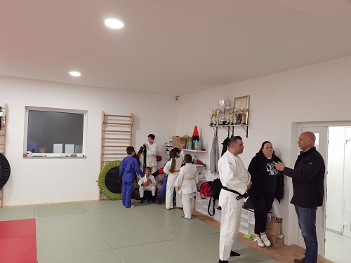 judo